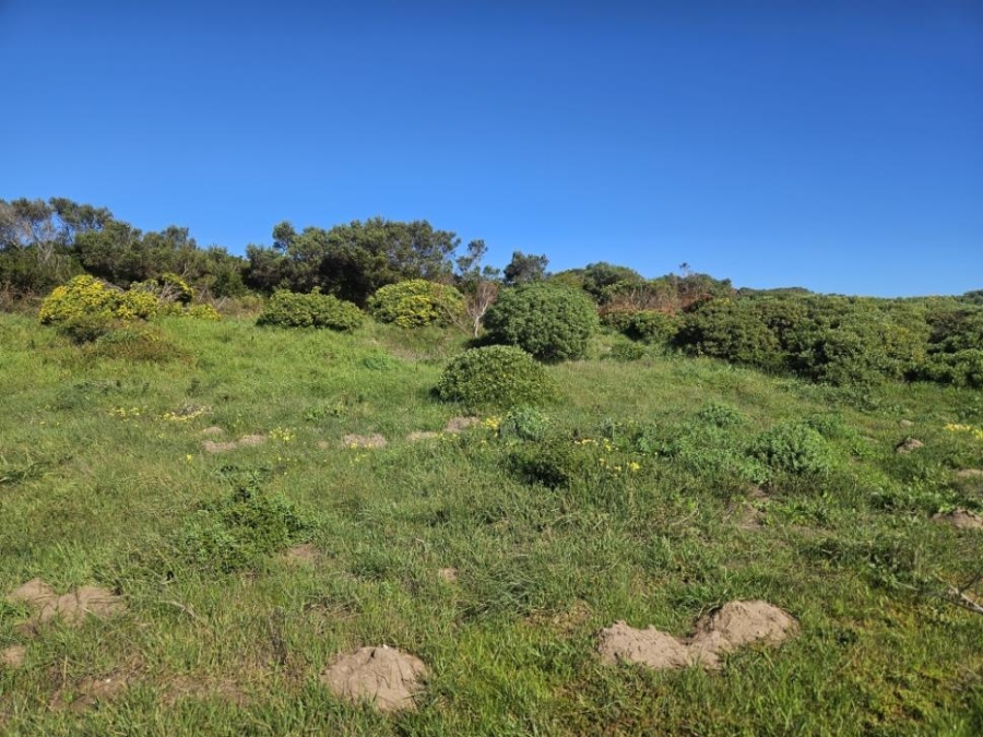 Commercial Property for Sale in Pearly Beach Western Cape